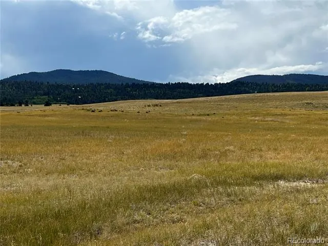 3 Ranch Hartsel, CO 80449