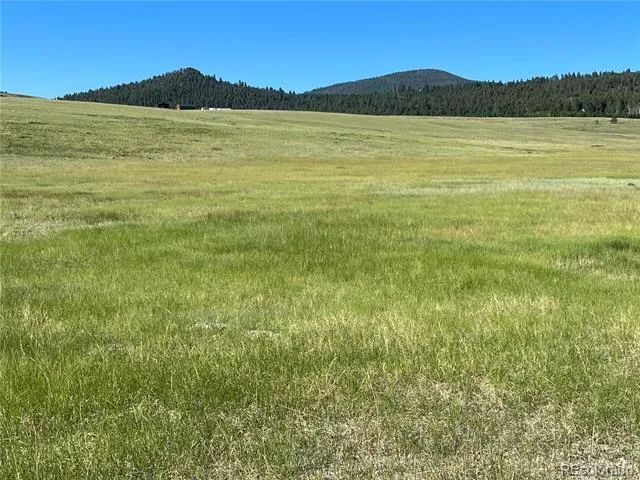 3 Ranch Hartsel, CO 80449