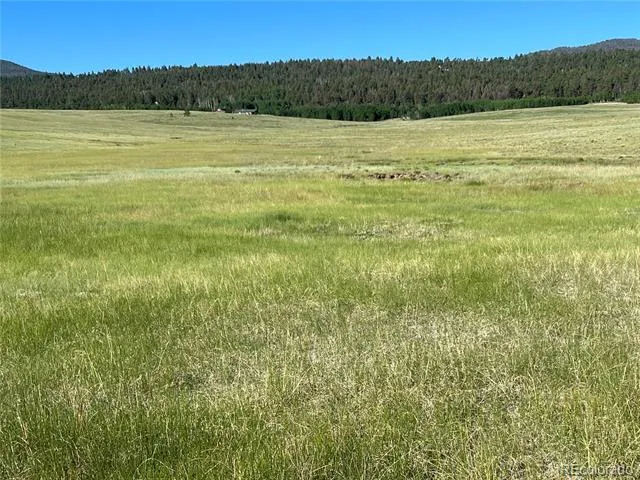 3 Ranch Hartsel, CO 80449
