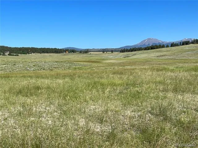 3 Ranch Hartsel, CO 80449