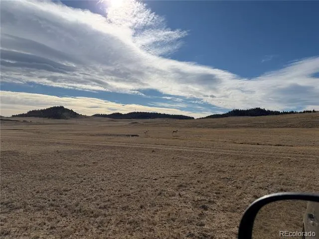 3 Ranch Hartsel, CO 80449