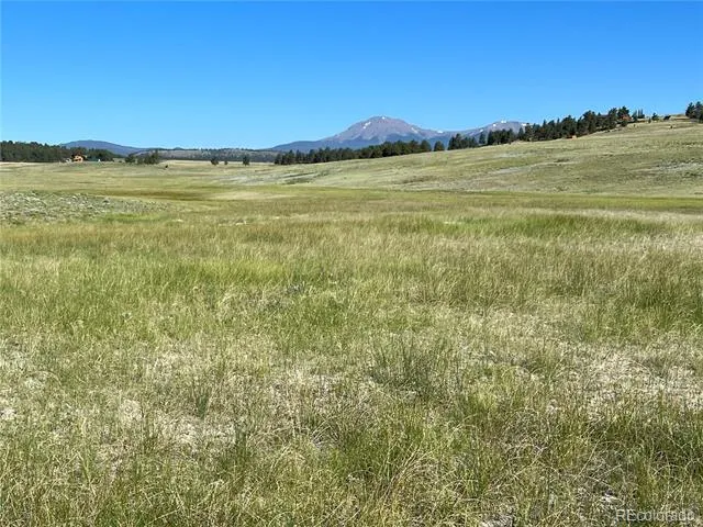 3 Ranch Hartsel, CO 80449
