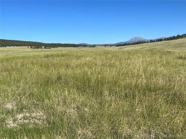 3 Ranch Hartsel, CO 80449