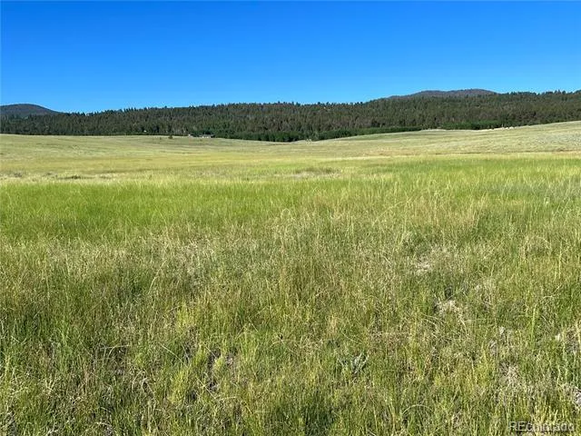 3 Ranch Hartsel, CO 80449