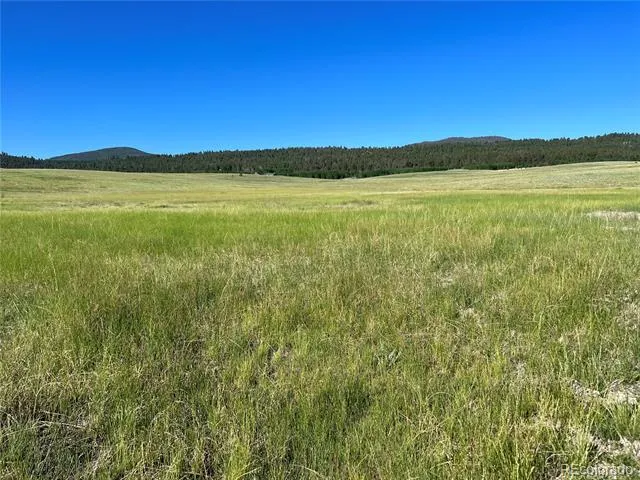 3 Ranch Hartsel, CO 80449