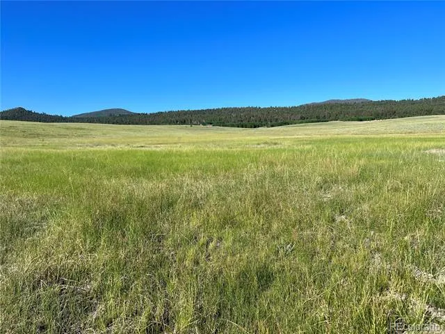 3 Ranch Hartsel, CO 80449