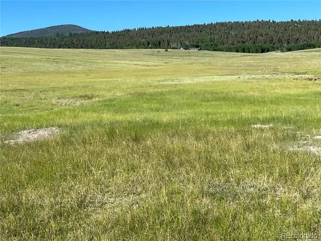 3 Ranch Hartsel, CO 80449