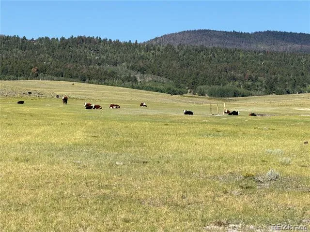 3 Ranch Hartsel, CO 80449