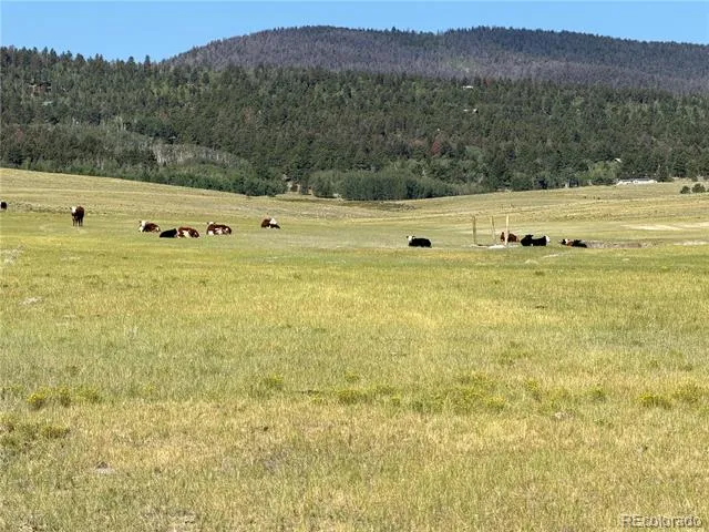 3 Ranch Hartsel, CO 80449