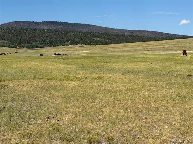 3 Ranch Hartsel, CO 80449
