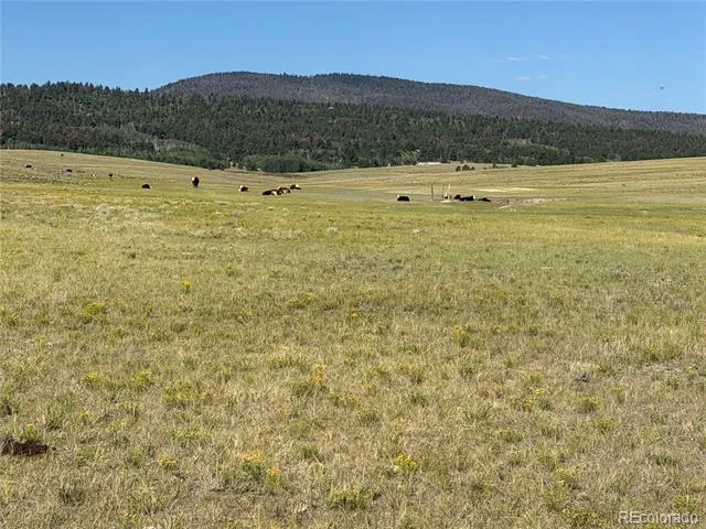 3 Ranch Hartsel, CO 80449