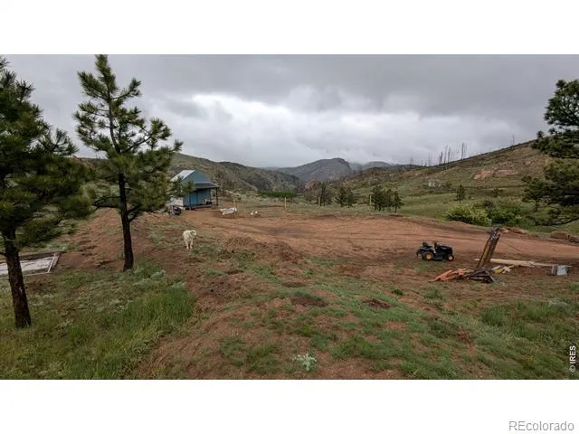 42 Smokey Mountain Court Livermore, CO 80536