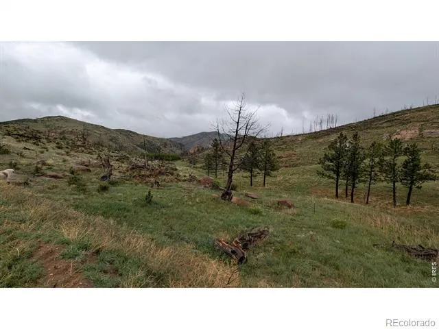 42 Smokey Mountain Court Livermore, CO 80536