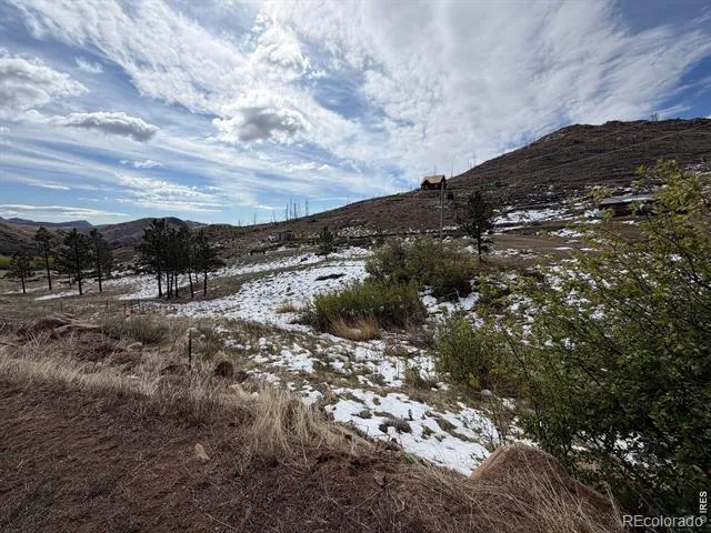42 Smokey Mountain Court Livermore, CO 80536