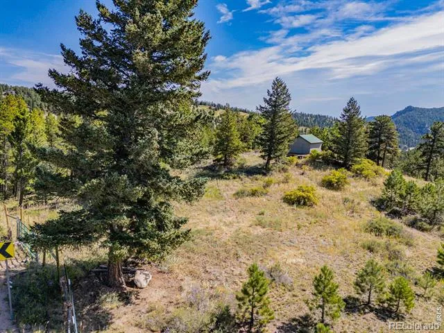 134 Hurricane Hill Drive Nederland, CO 80466