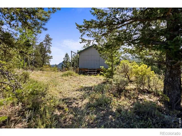 134 Hurricane Hill Drive Nederland, CO 80466