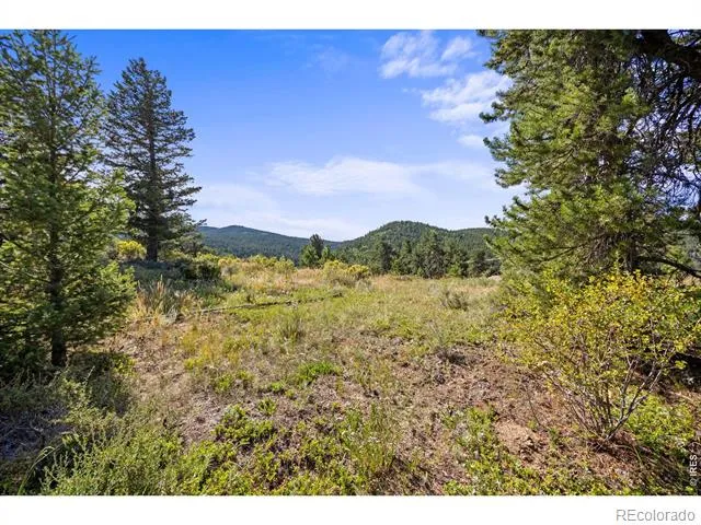 134 Hurricane Hill Drive Nederland, CO 80466