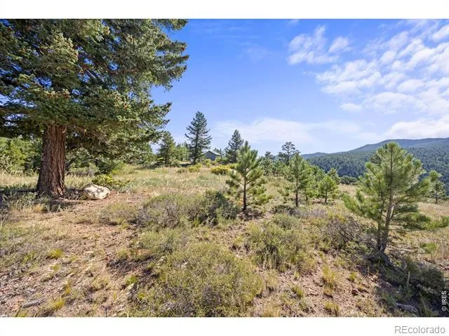 134 Hurricane Hill Drive Nederland, CO 80466
