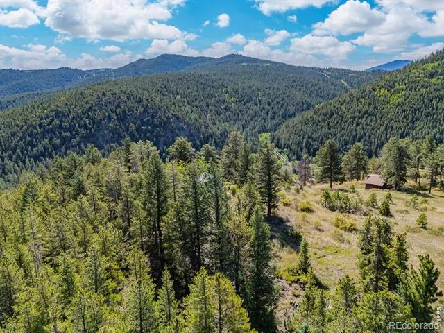 134 Hurricane Hill Drive Nederland, CO 80466