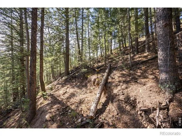 134 Hurricane Hill Drive Nederland, CO 80466