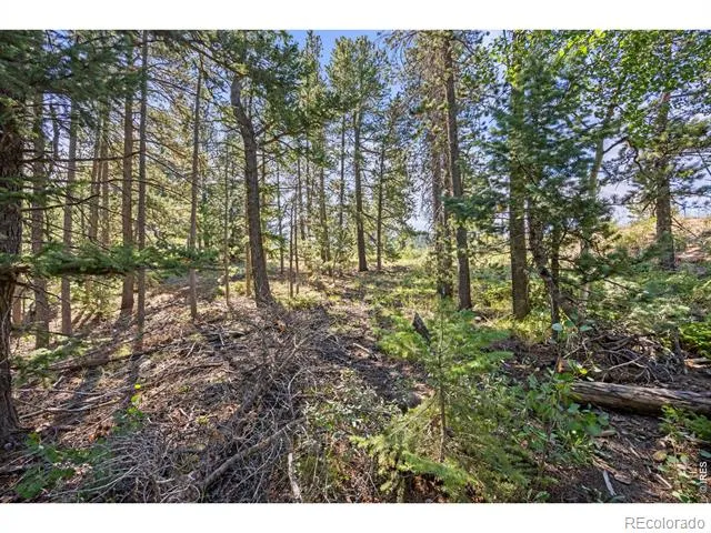 134 Hurricane Hill Drive Nederland, CO 80466