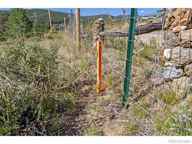 134 Hurricane Hill Drive Nederland, CO 80466