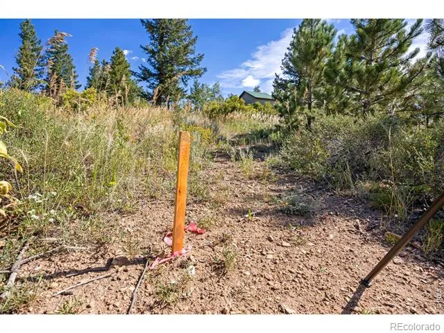 134 Hurricane Hill Drive Nederland, CO 80466