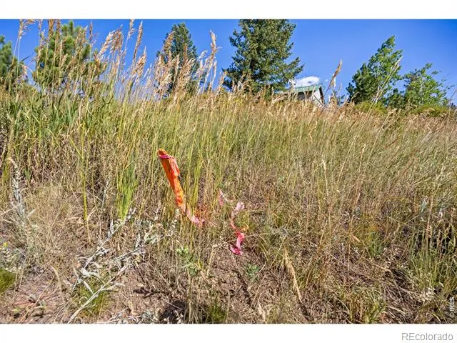 134 Hurricane Hill Drive Nederland, CO 80466