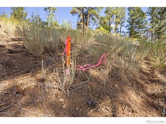 134 Hurricane Hill Drive Nederland, CO 80466