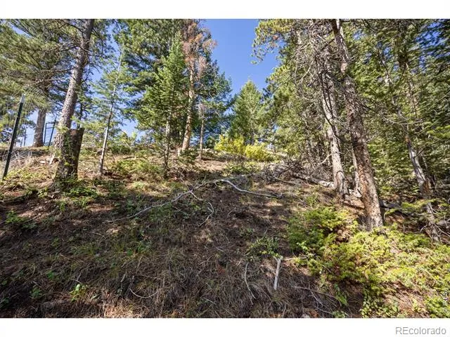 134 Hurricane Hill Drive Nederland, CO 80466