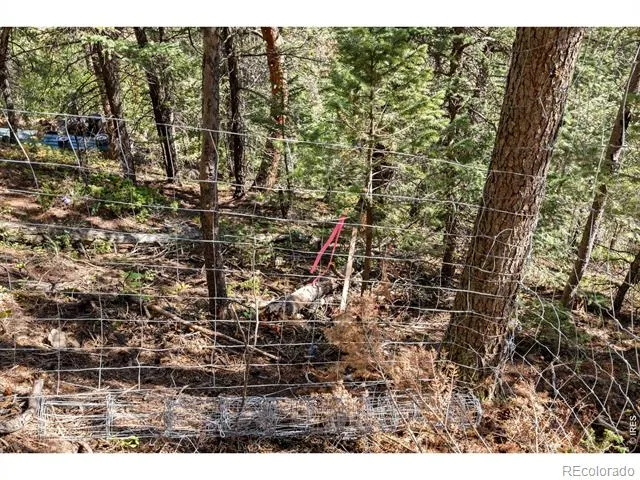 134 Hurricane Hill Drive Nederland, CO 80466