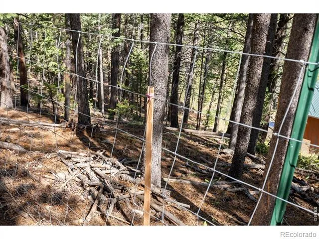 134 Hurricane Hill Drive Nederland, CO 80466