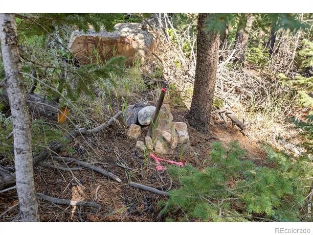 134 Hurricane Hill Drive Nederland, CO 80466