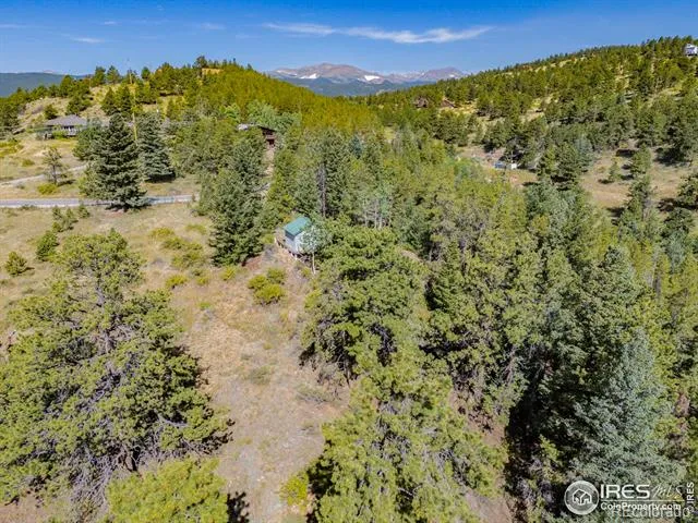 134 Hurricane Hill Drive Nederland, CO 80466