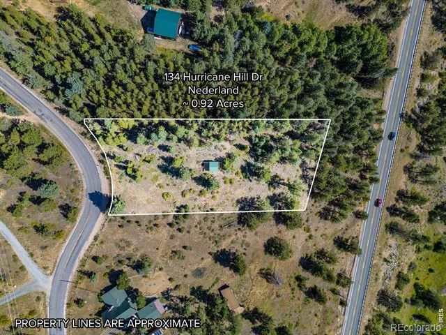 134 Hurricane Hill Drive Nederland, CO 80466