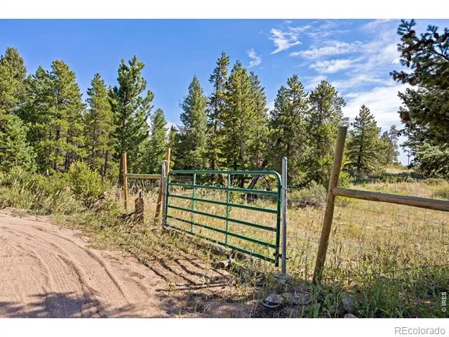 134 Hurricane Hill Drive Nederland, CO 80466
