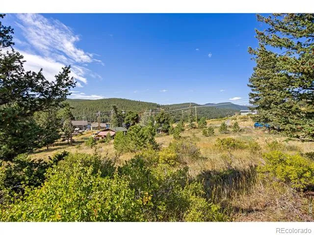 134 Hurricane Hill Drive Nederland, CO 80466