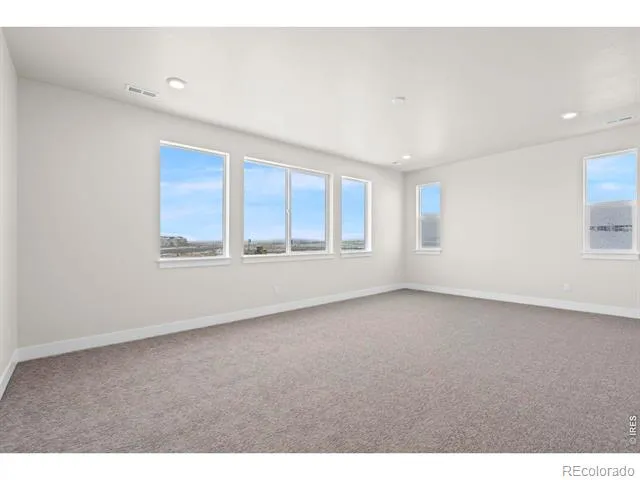 1295 Weller Street Timnath, CO 80547