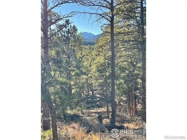 0 Pine Drive Lyons, CO 80540