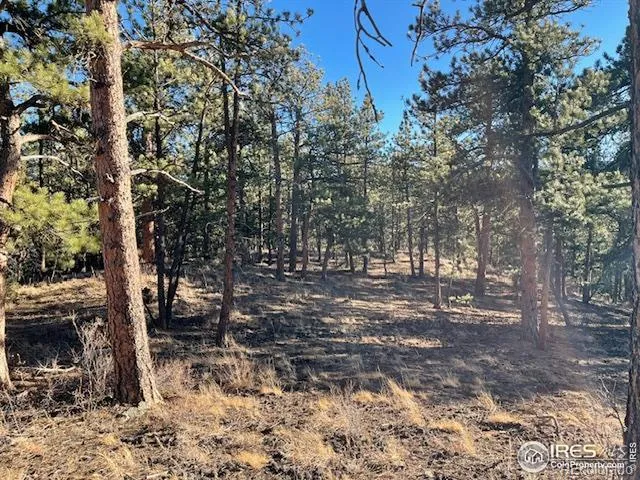 0 Pine Drive Lyons, CO 80540