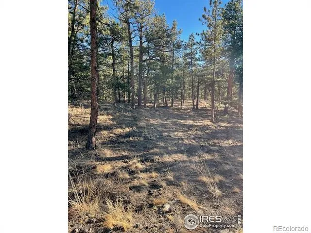 0 Pine Drive Lyons, CO 80540
