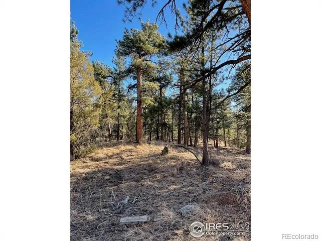 0 Pine Drive Lyons, CO 80540