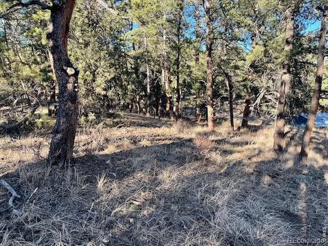 0 Pine Drive Lyons, CO 80540