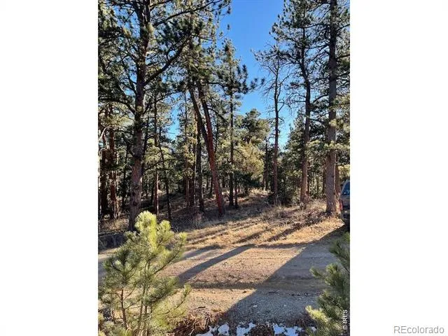 0 Pine Drive Lyons, CO 80540