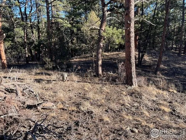 0 Pine Drive Lyons, CO 80540