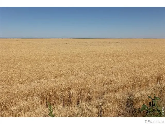 1 Lots 1-6 Vacant Land Penrith Bennett, CO 80102
