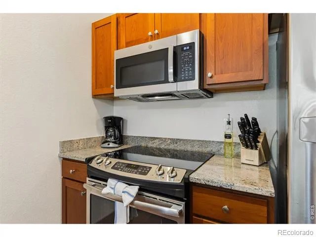 199 Twin Owls Lane #1 Estes Park, CO 80517