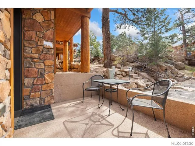 199 Twin Owls Lane #1 Estes Park, CO 80517