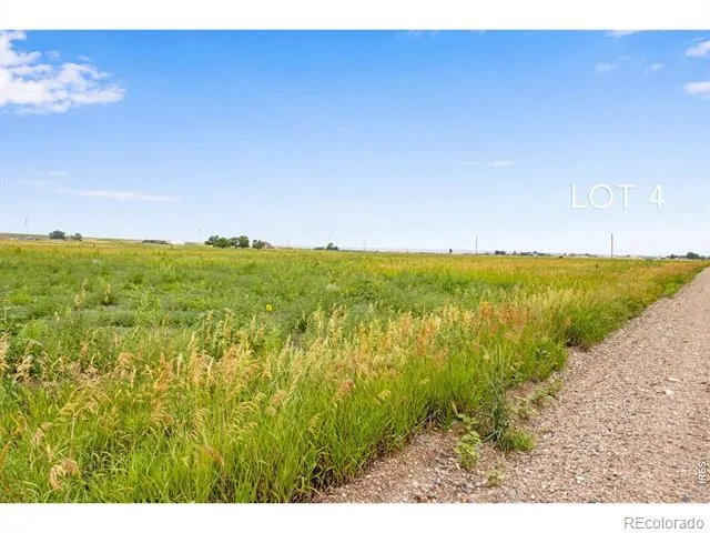46 TBD County Road Carr, CO 80612