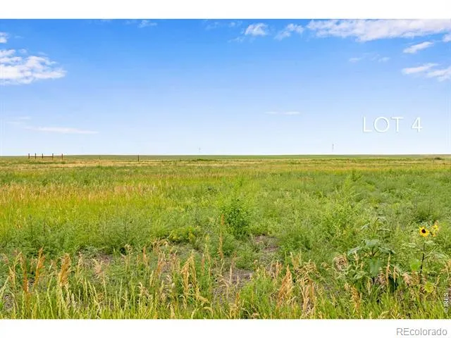 46 TBD County Road Carr, CO 80612